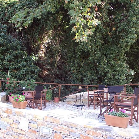 Vergopoulos Oliveyard Mourésion المظهر الخارجي الصورة