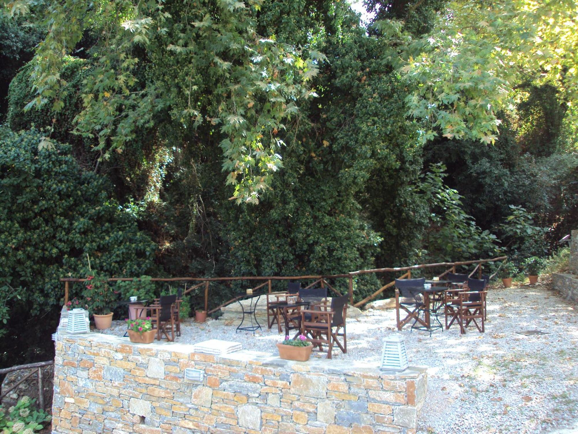 Vergopoulos Oliveyard Mourésion المظهر الخارجي الصورة